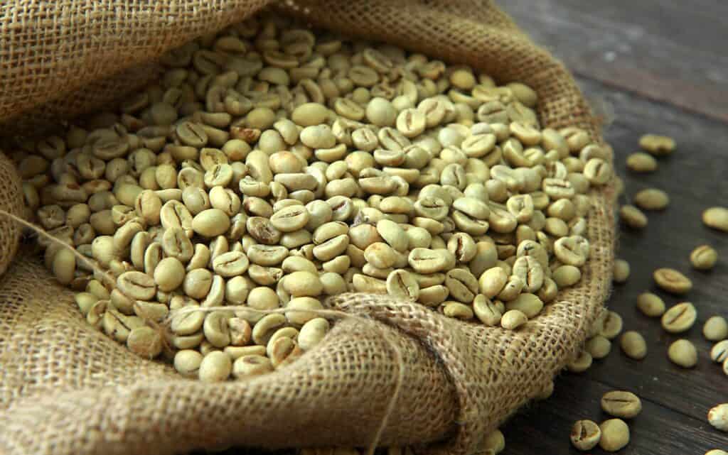 green coffee beans wholesale