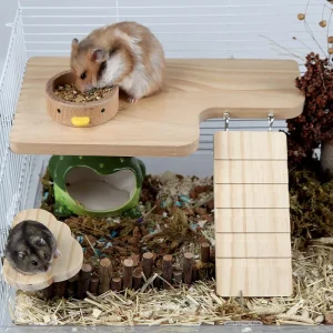 Best Hamster Climbing Cage