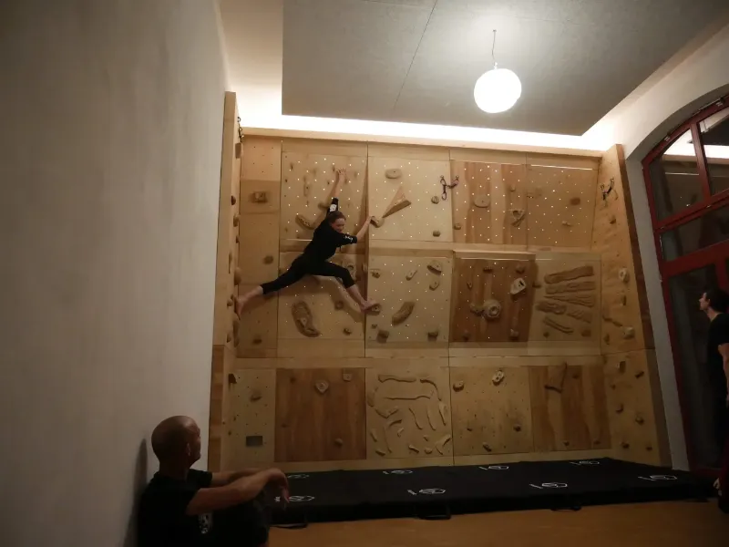wooden climbing holds 