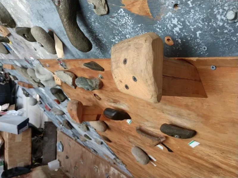 wooden climbing holds 